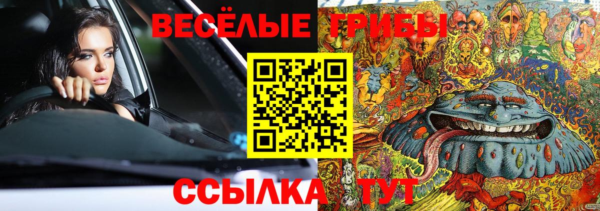 Галлюциногенные грибы MAGIC MUSHROOMS  Вход с VPN  Донской  Галлюциногенные грибы MAGIC MUSHROOMS 